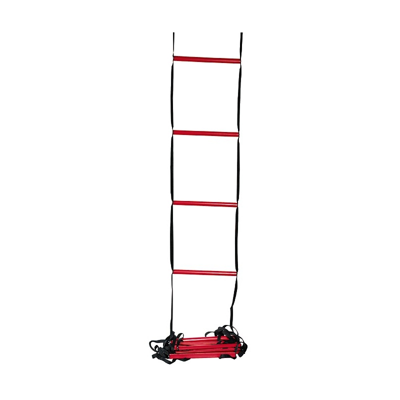 WRZ2542_EZ_TrainingLadder_02.jpg